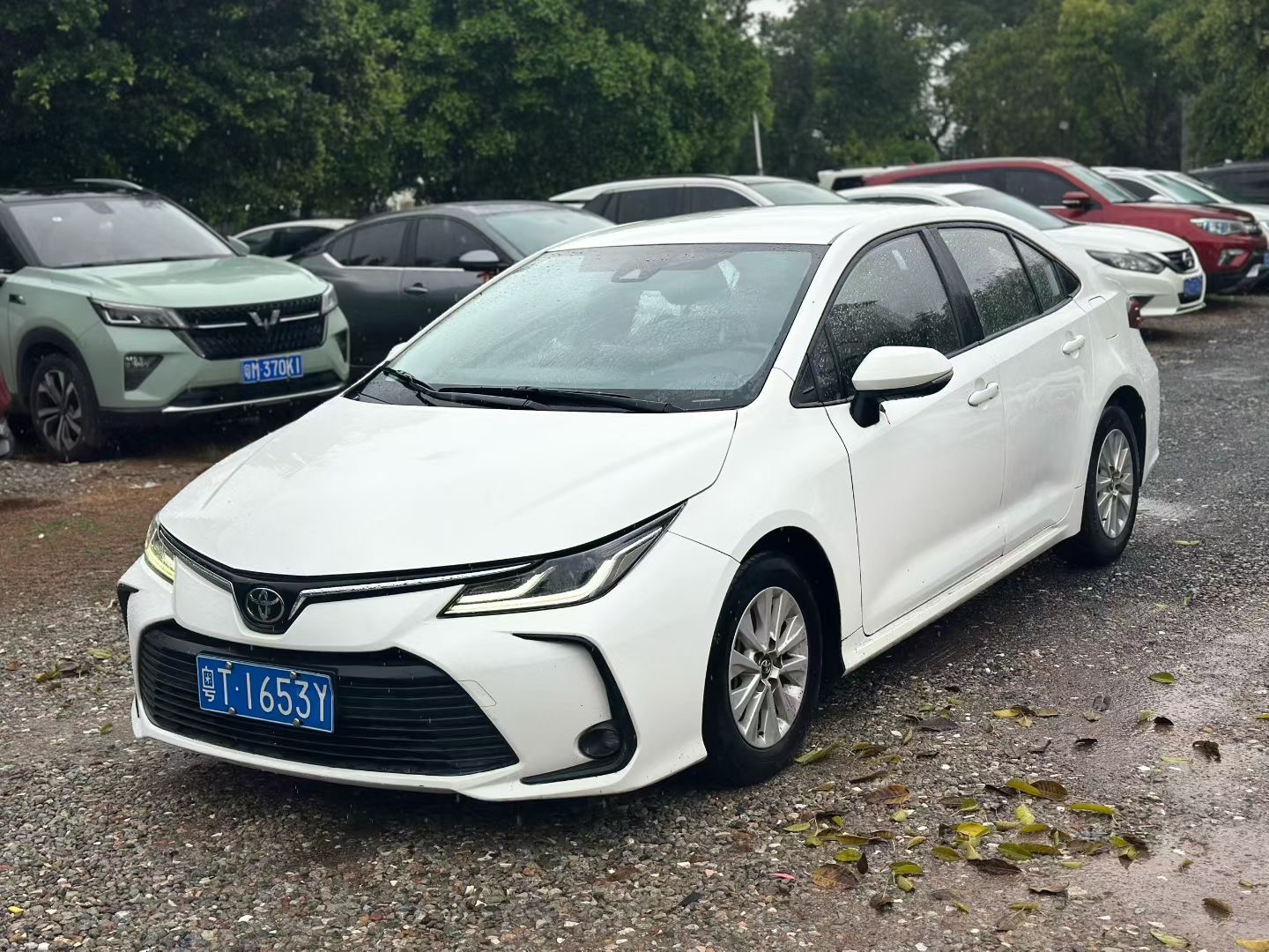 2023 Corolla Gasoline 1.2T